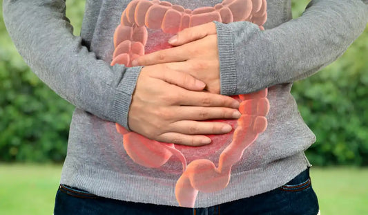 long-terms-effects-of-gut-health