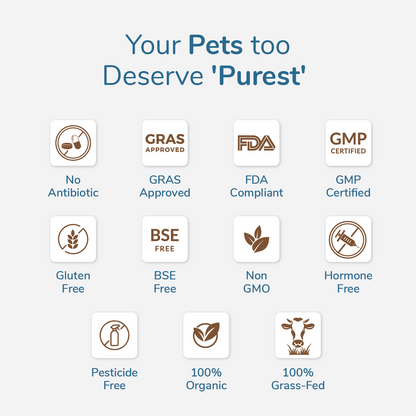 Our certifications of colostrum powder 